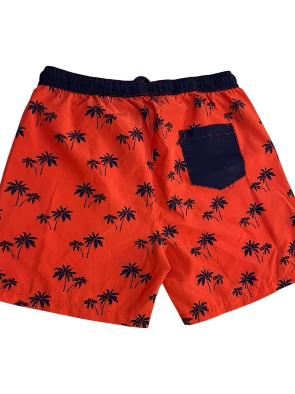 Public Record‎ Swim Trunks